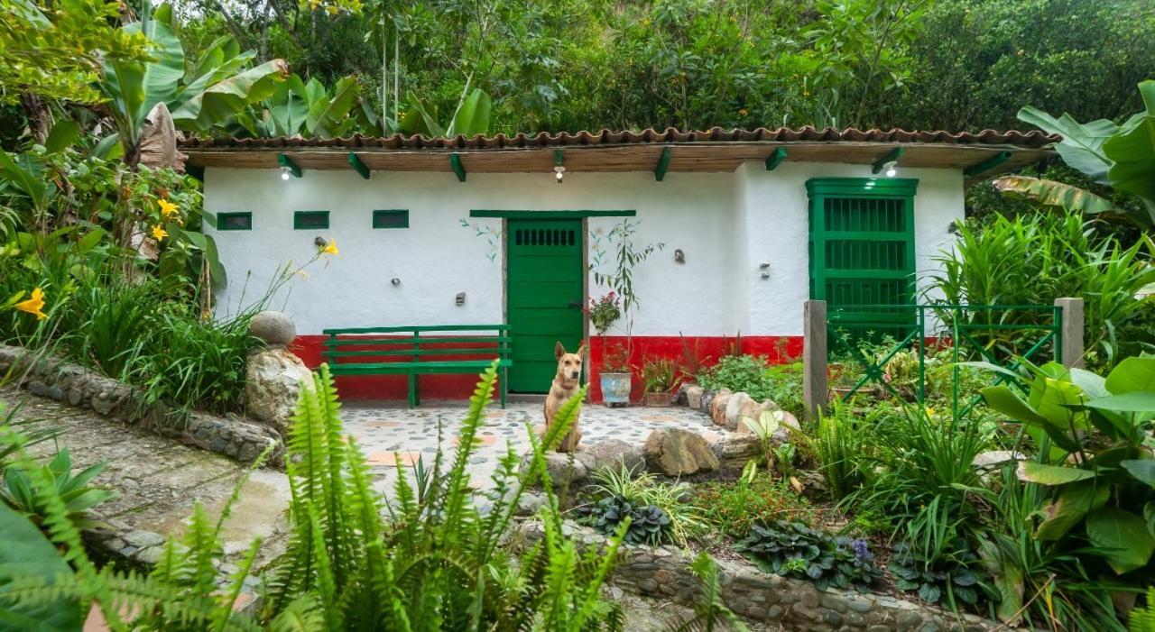 Finca Los Abuelos - La Planta Concepcion Eksteriør bilde