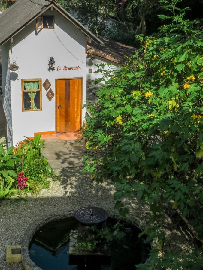 Finca Los Abuelos - La Planta Concepcion Eksteriør bilde